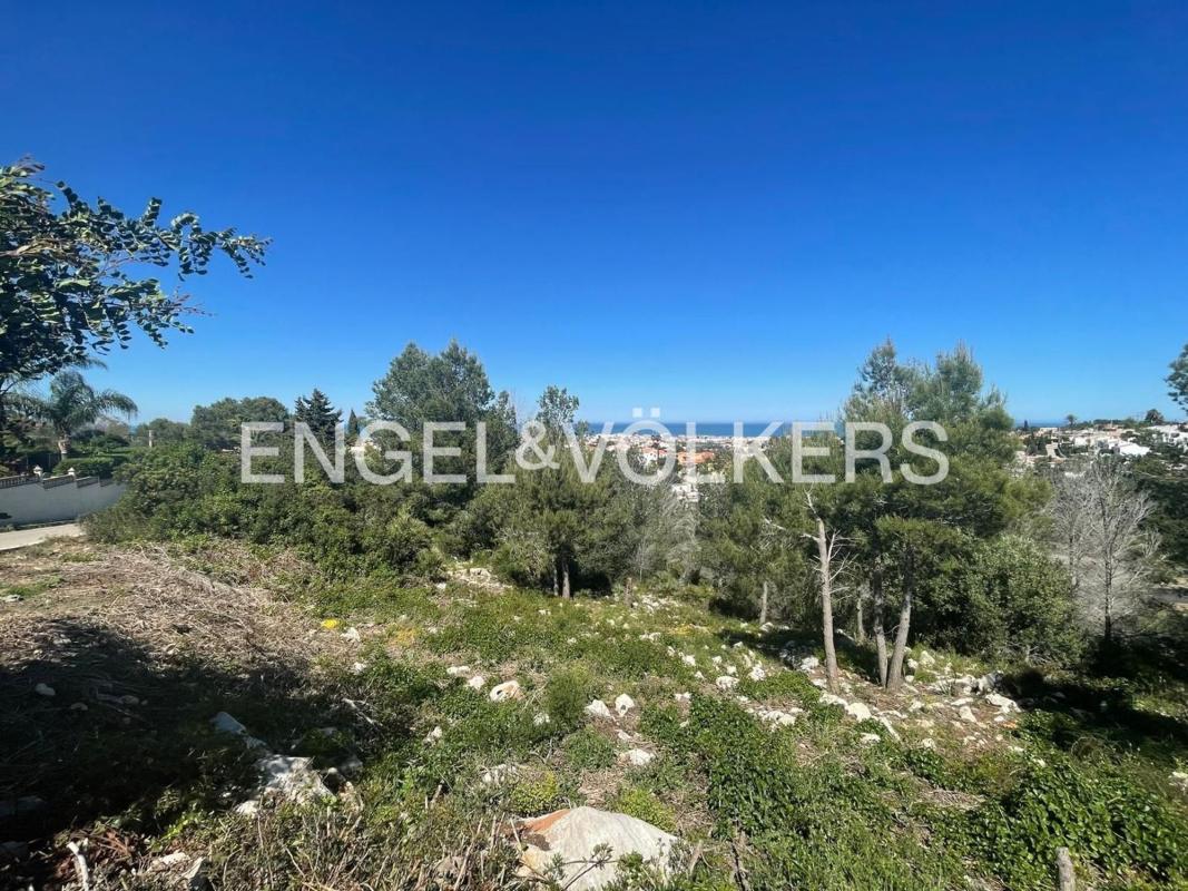 Terreno en venta en Denia, Alicante photo 3