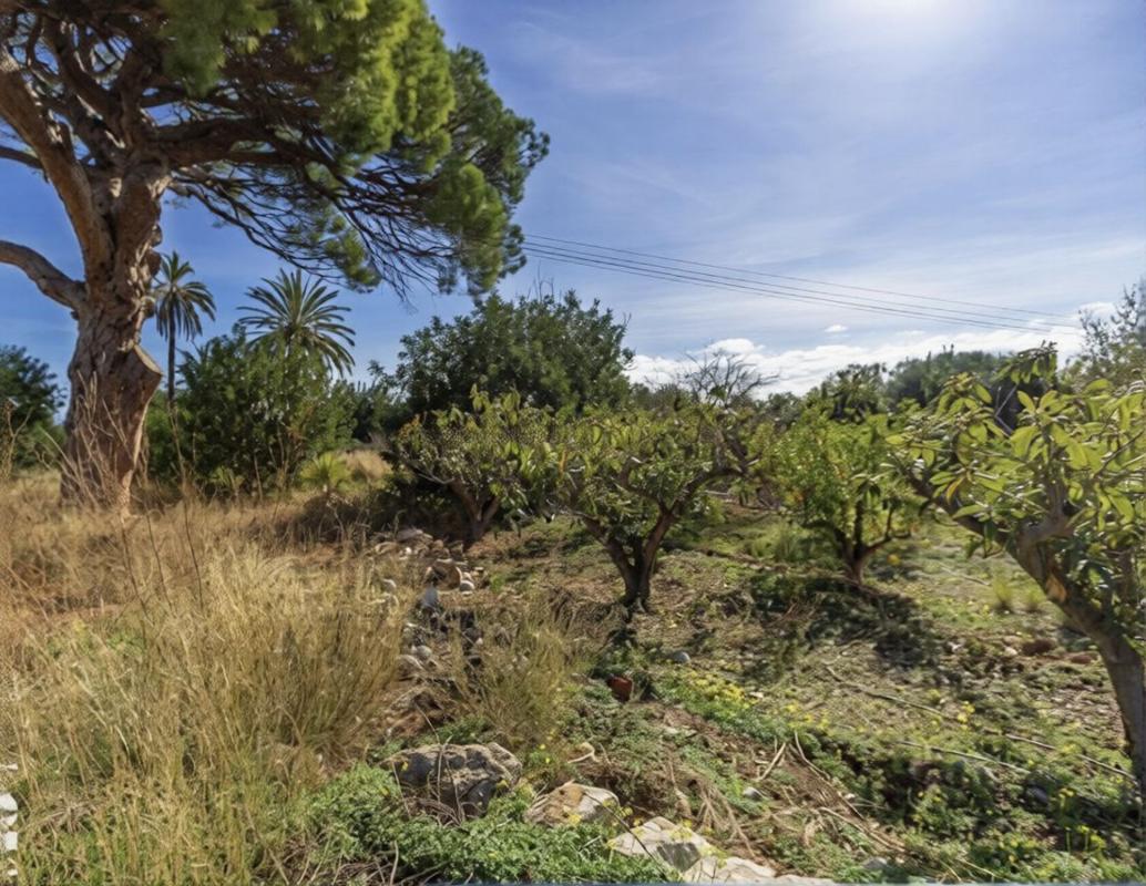 Terreno en venta en Altea, Alicante photo 3
