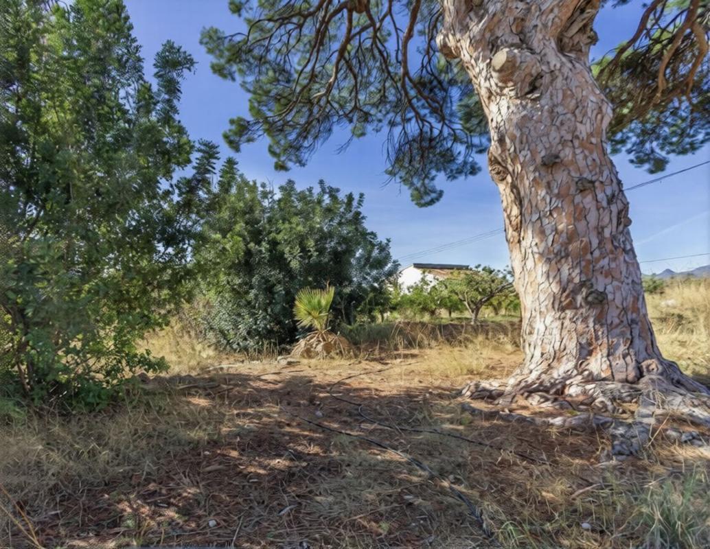Terreno en venta en Altea, Alicante photo 5