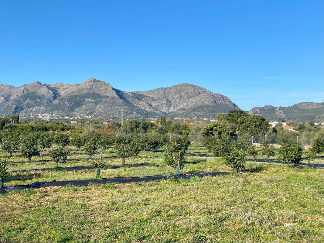 Land for sale in Benidoleig, Alicante photo 2