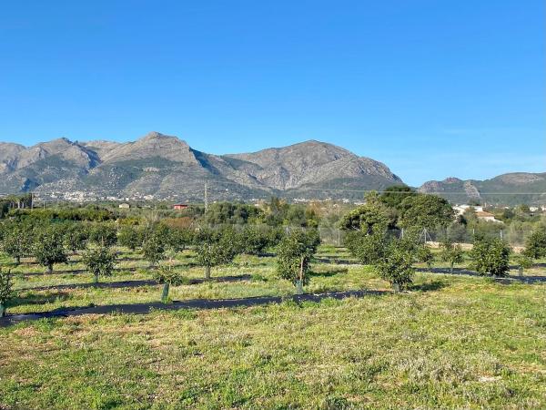 Terreno en camino Plantaes, 37 photo 2