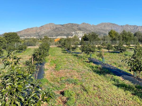 Terreno en camino Plantaes, 37 photo 4