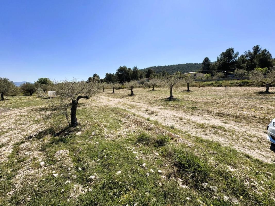 Land for sale in Castalla, Alicante photo 5