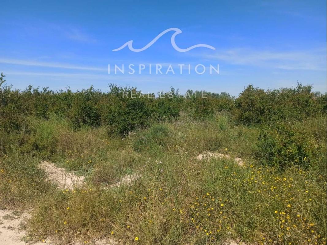 Terreno en venta en Elche / Elx, Alicante photo 1