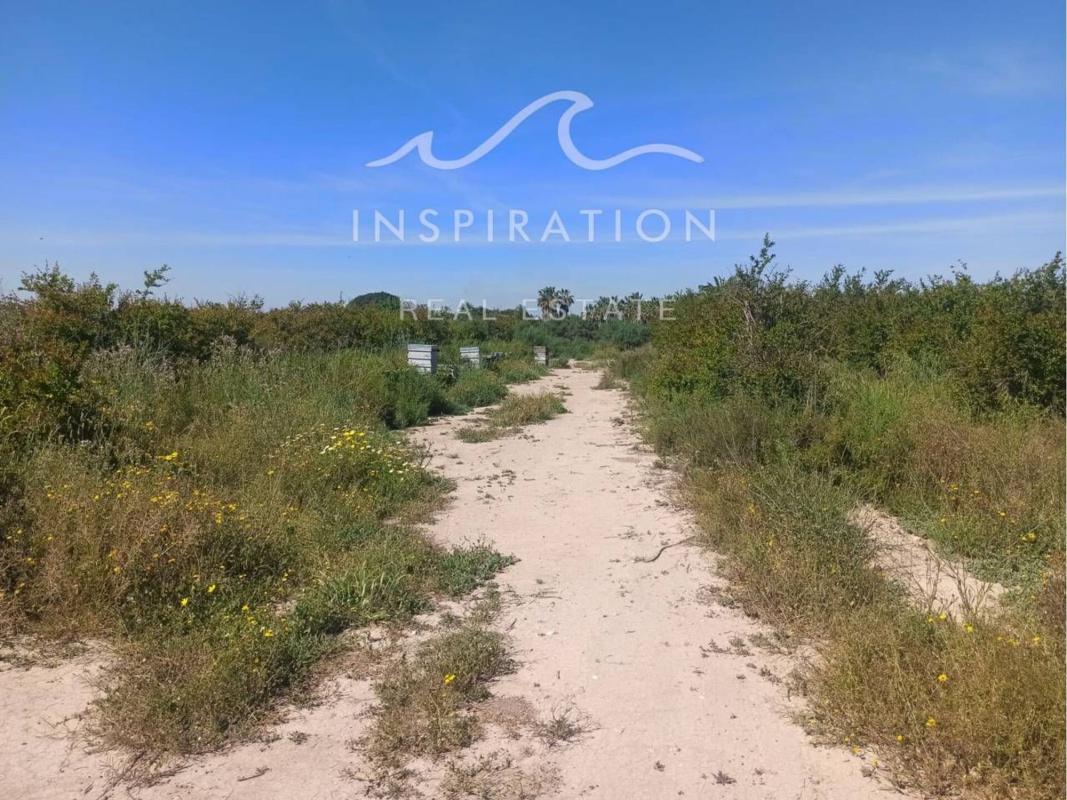 Terreno en venta en Elche / Elx, Alicante photo 2