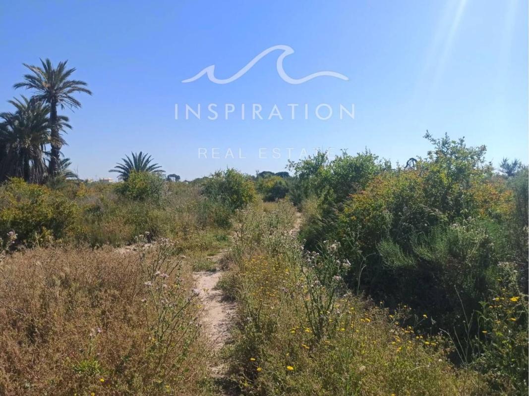 Terreno en venta en Elche / Elx, Alicante photo 3