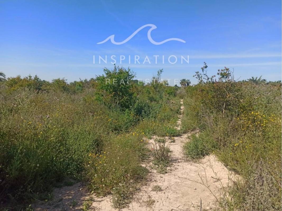 Terreno en venta en Elche / Elx, Alicante photo 4