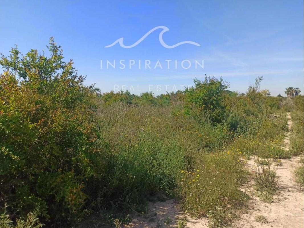 Terreno en venta en Elche / Elx, Alicante photo 5