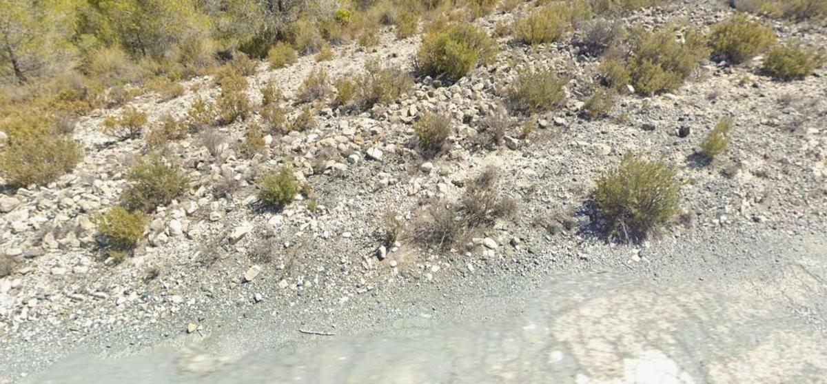 Terreno en venta en Hondón de los Frailes, Alicante photo 1