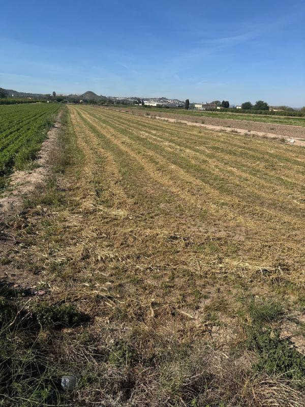 Terreno en venta en Guardamar del Segura, Alicante photo 1