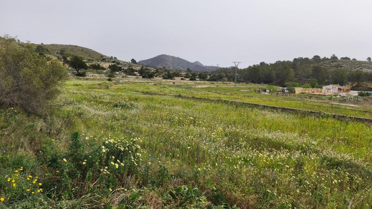 Działka na sprzedaż w Aigües, Alicante photo 3