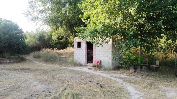 Terreno en partida alcudia, 184 photo 3