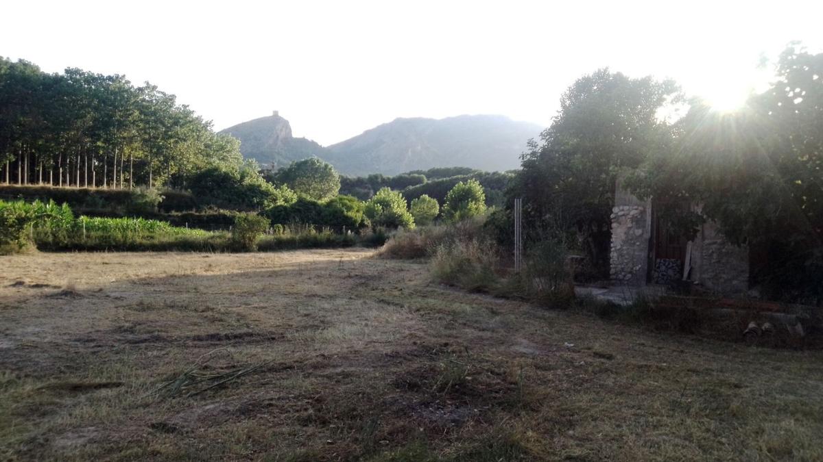 Terreno en venta en Cocentaina, Alicante photo 4