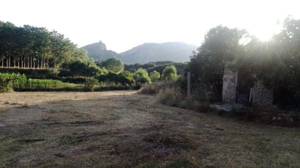 Terreno en partida alcudia, 184 photo 4