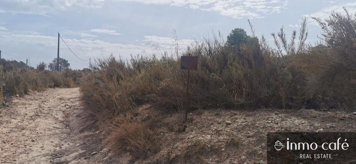 Działka na sprzedaż w Salinas, Alicante photo 2
