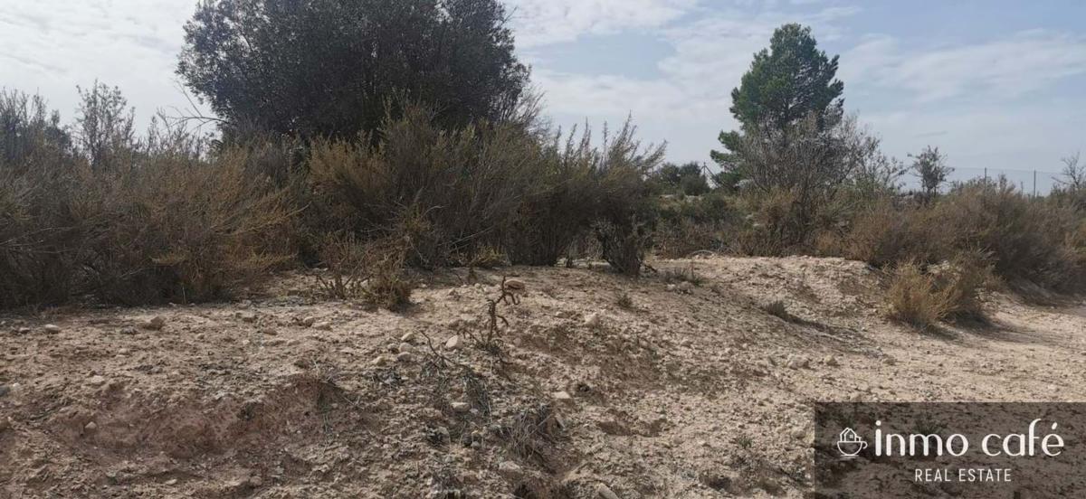 Działka na sprzedaż w Salinas, Alicante photo 3
