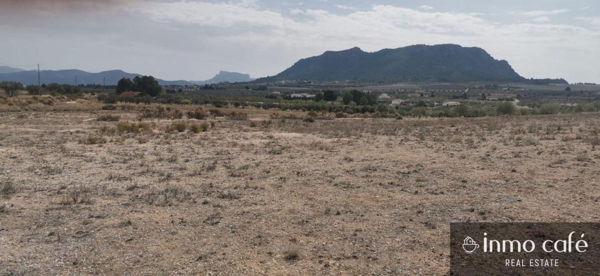 Działka na sprzedaż w Salinas, Alicante photo 5