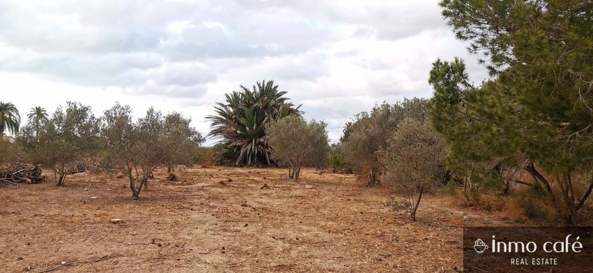 Terreno en venta en Elche / Elx, Alicante photo 1