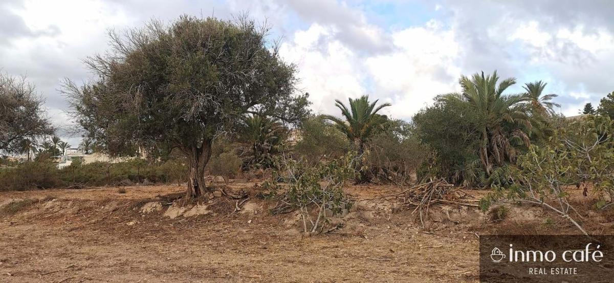 Terreno en venta en Elche / Elx, Alicante photo 2