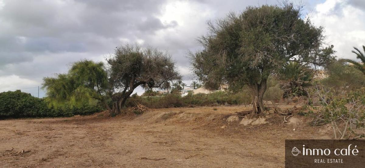 Terreno en venta en Elche / Elx, Alicante photo 3
