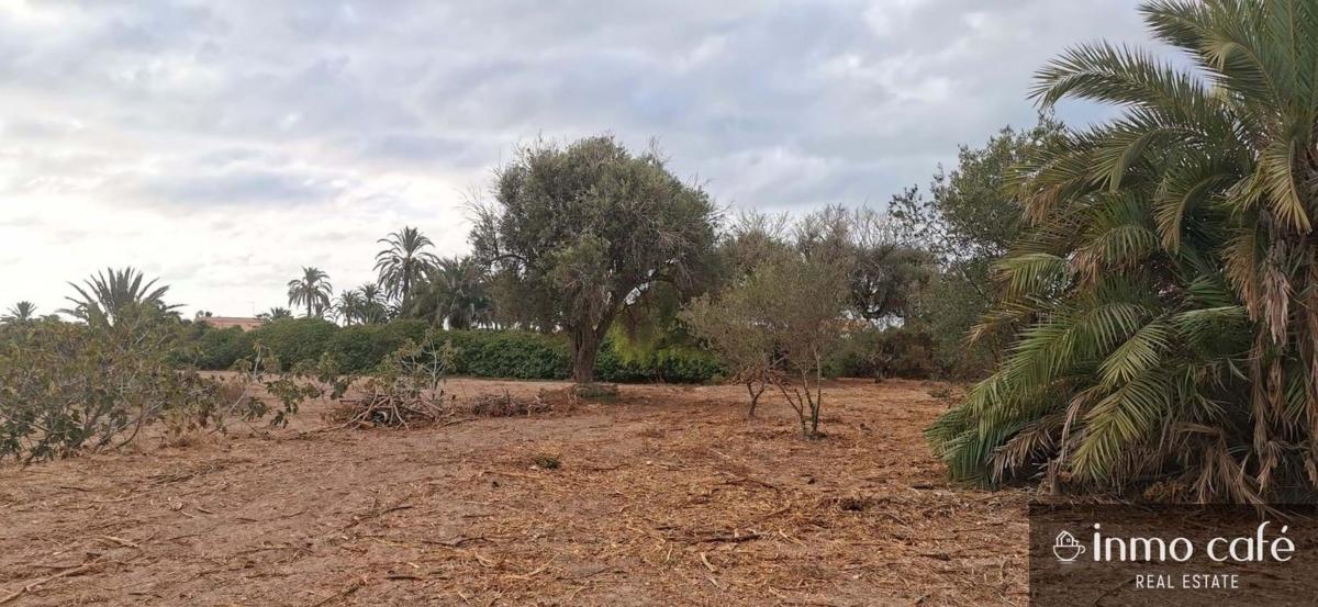 Terreno en venta en Elche / Elx, Alicante photo 4