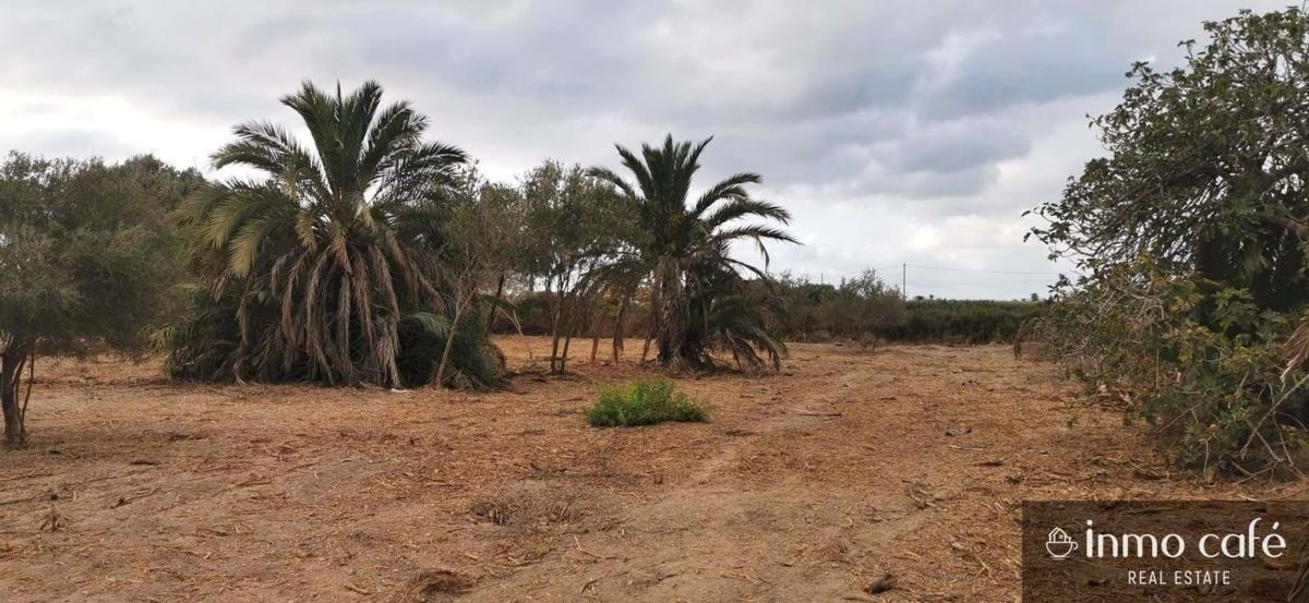 Terreno en venta en Elche / Elx, Alicante photo 5