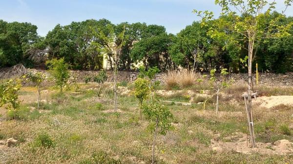Terreno en Damunt l'horta, 26 photo 2