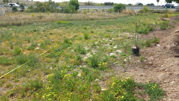 Terreno en Damunt l'horta, 26 photo 3