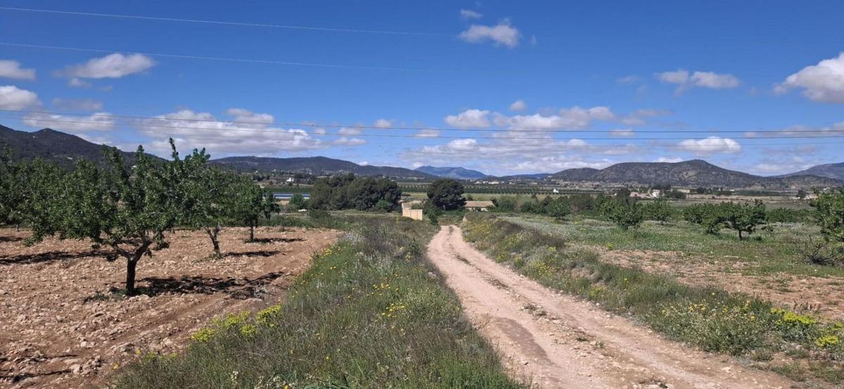 Terreno en venta en Monovar, Alicante photo 4