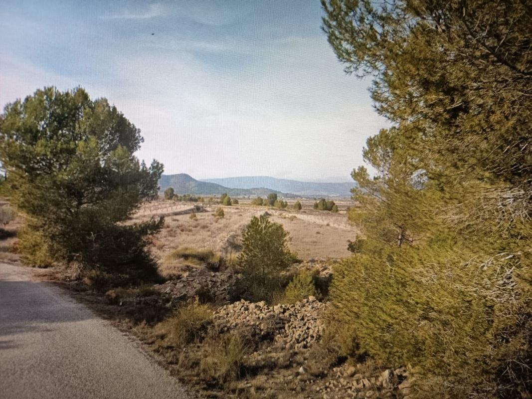 Terreno en venta en Monovar, Alicante photo 4