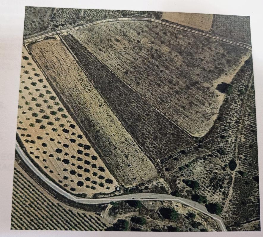 Terreno en venta en Monovar, Alicante photo 5