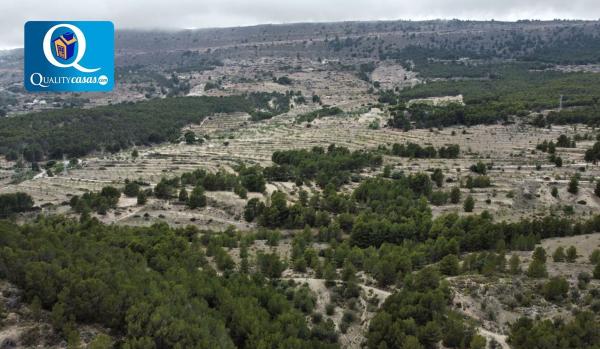 Terreno en Torremanzanas photo 1