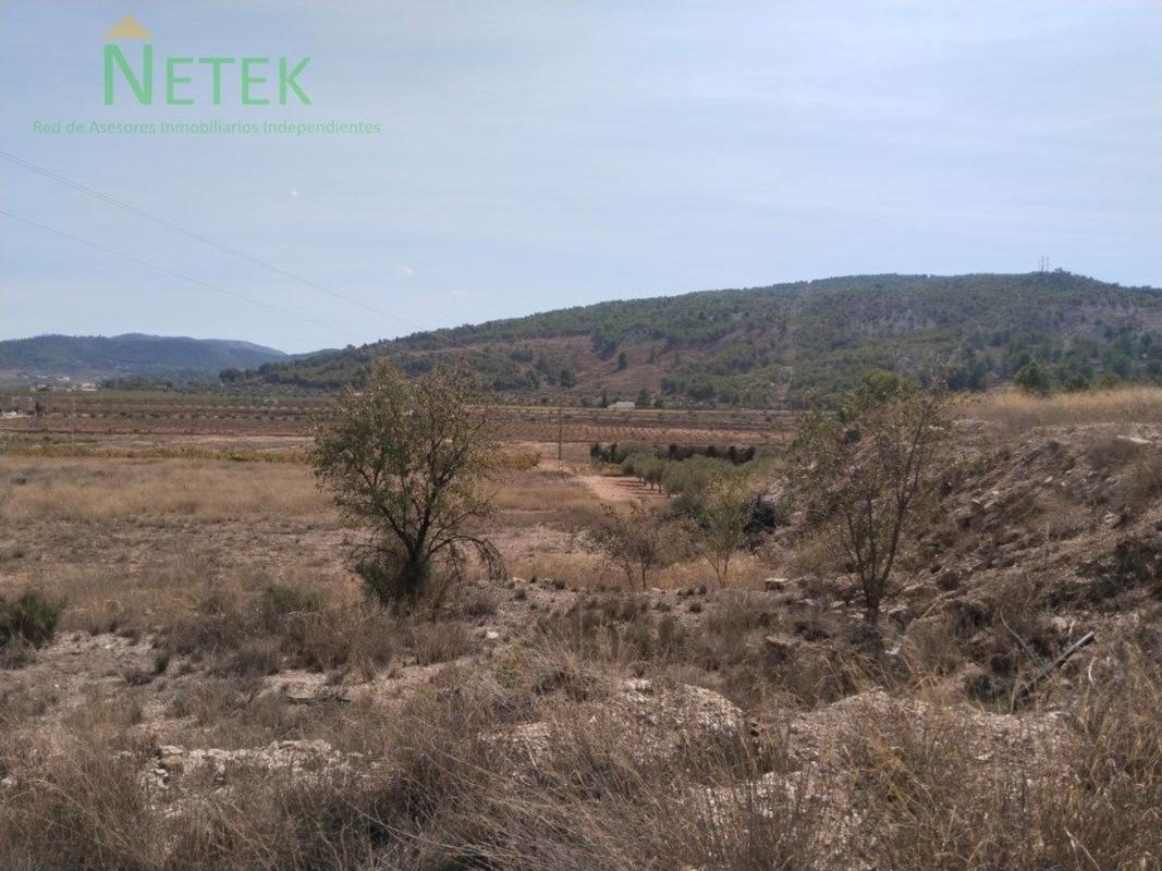 Terreno en venta en Pinoso, Alicante photo 1