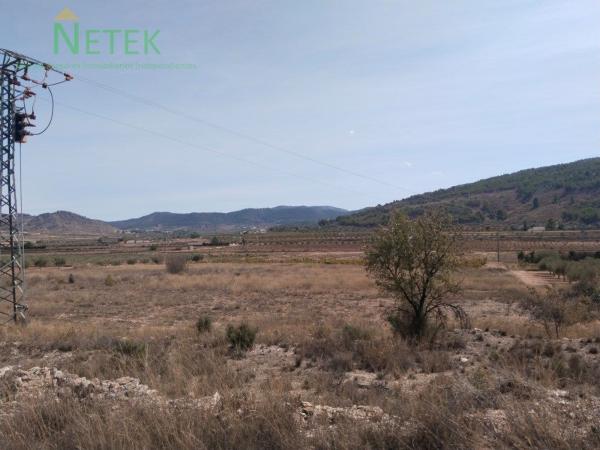 Terreno en carretera Encebras, 8 photo 2