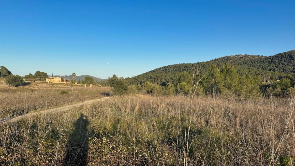Land for sale in Jalón, Alicante photo 2
