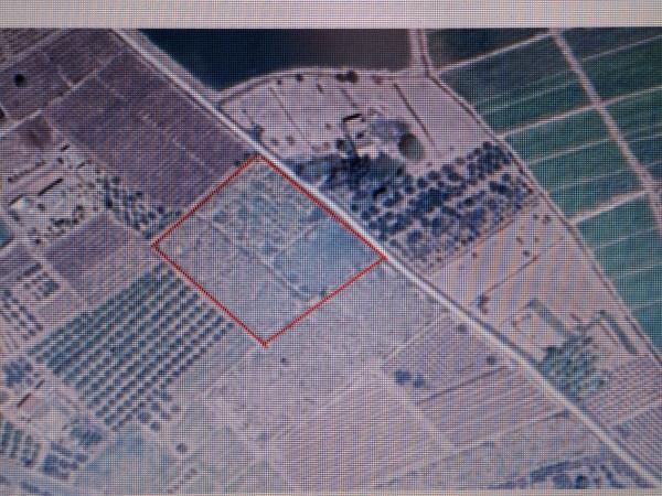 Terreno en camino de Ventarich s/n photo 3