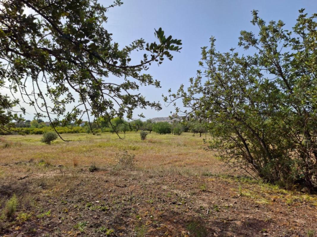 Terreno en venta en Altea, Alicante photo 4