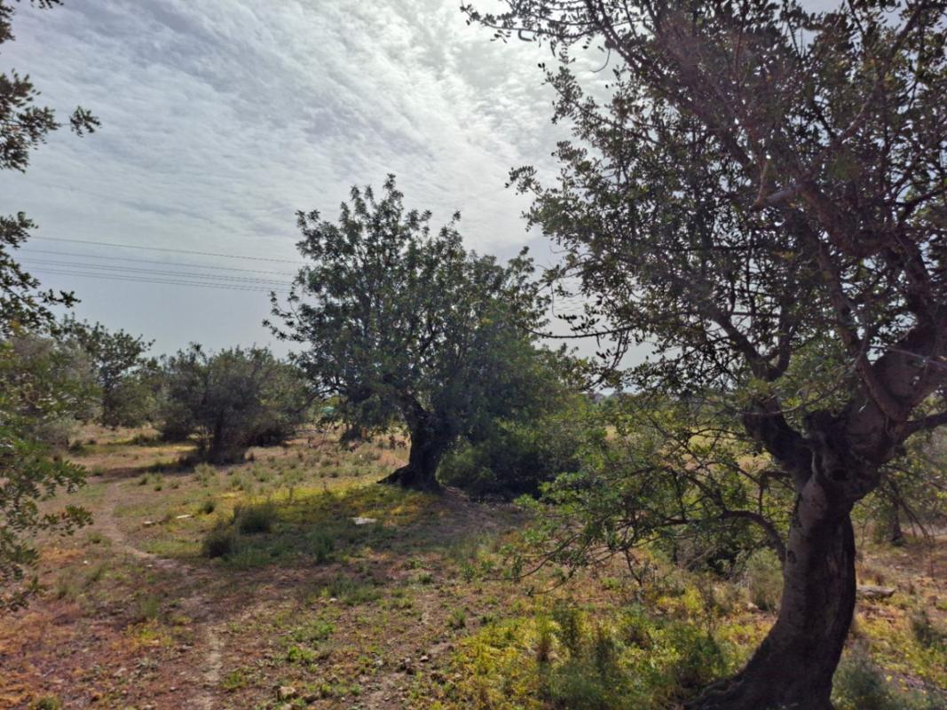 Terreno en venta en Altea, Alicante photo 5
