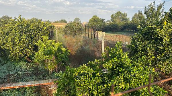 Terreno en Formentera del Segura thumbnail 2