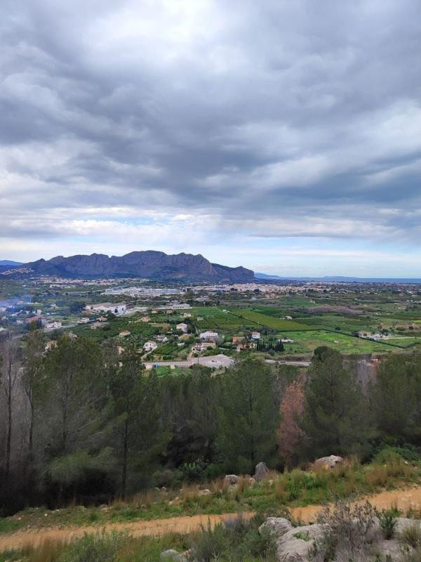 Terreno en venta en Pedreguer, Alicante photo 2