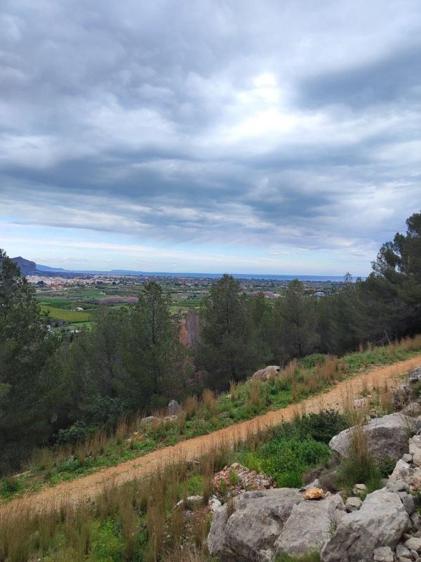 Terreno en venta en Pedreguer, Alicante photo 4