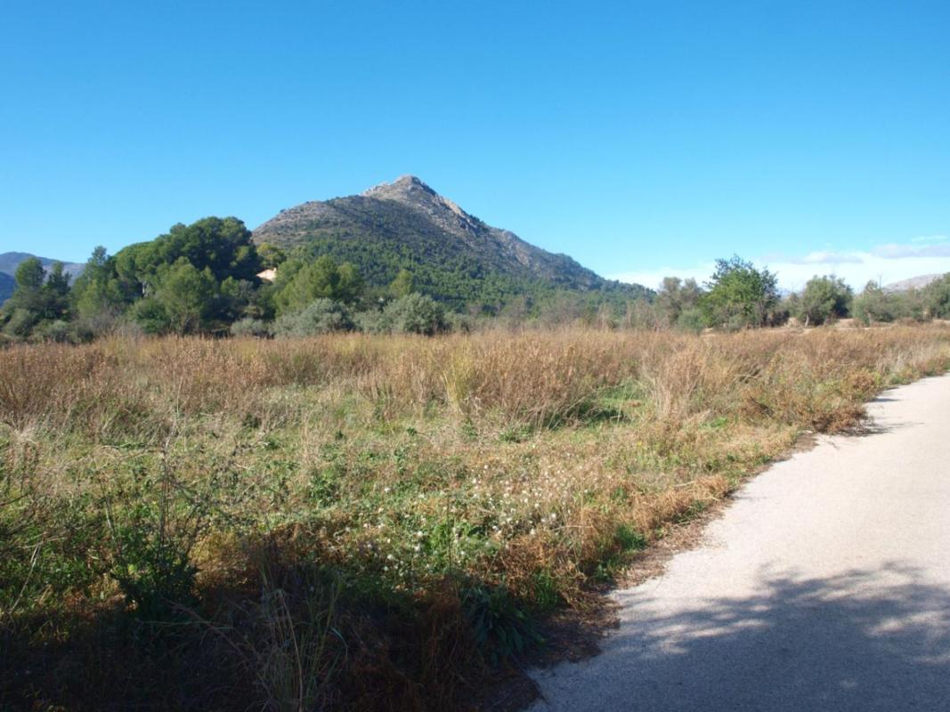 Terreno en venta en Murla, Alicante photo 5