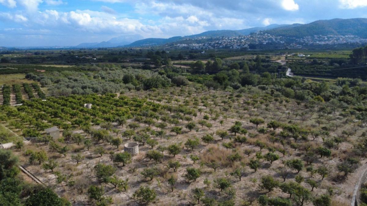 Terreno en venta en Orba, Alicante photo 4