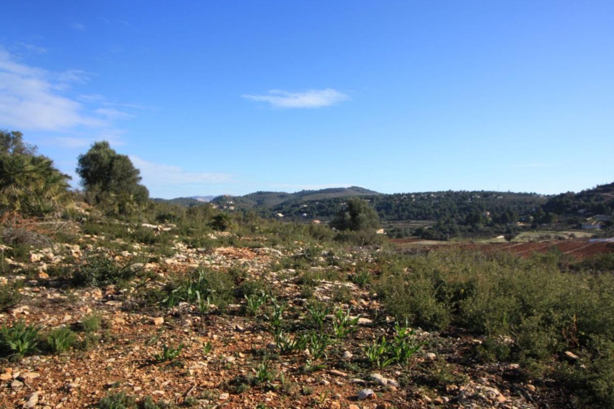 Działka na sprzedaż w Llíber, Alicante photo 3