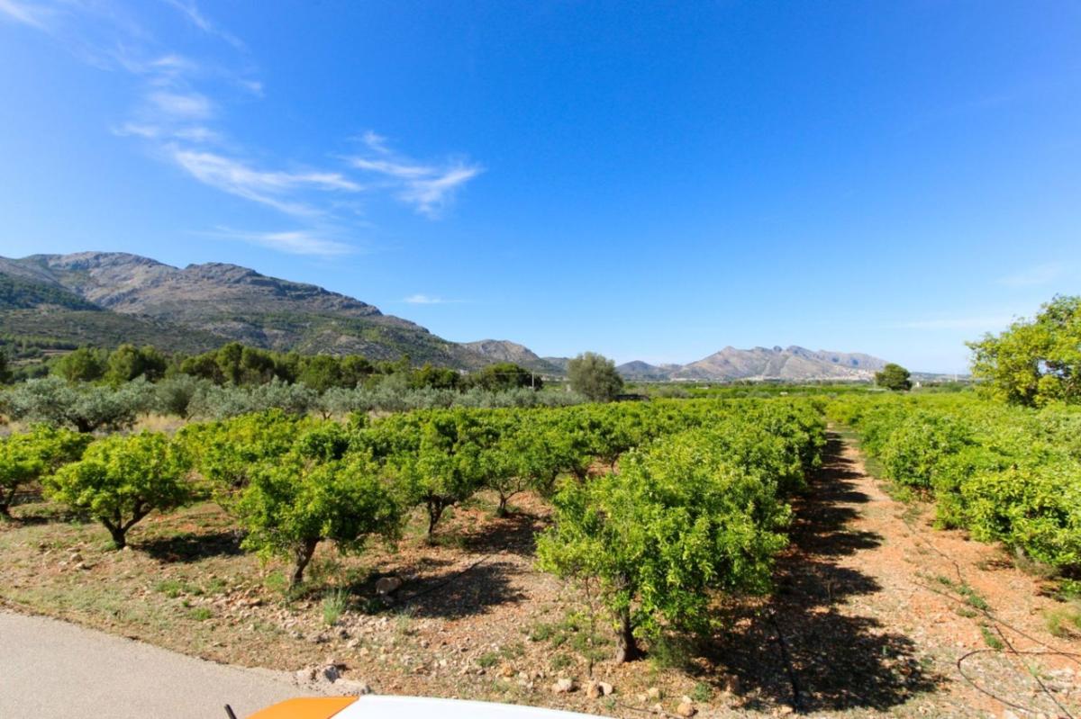 Terreno en venta en Orba, Alicante photo 3