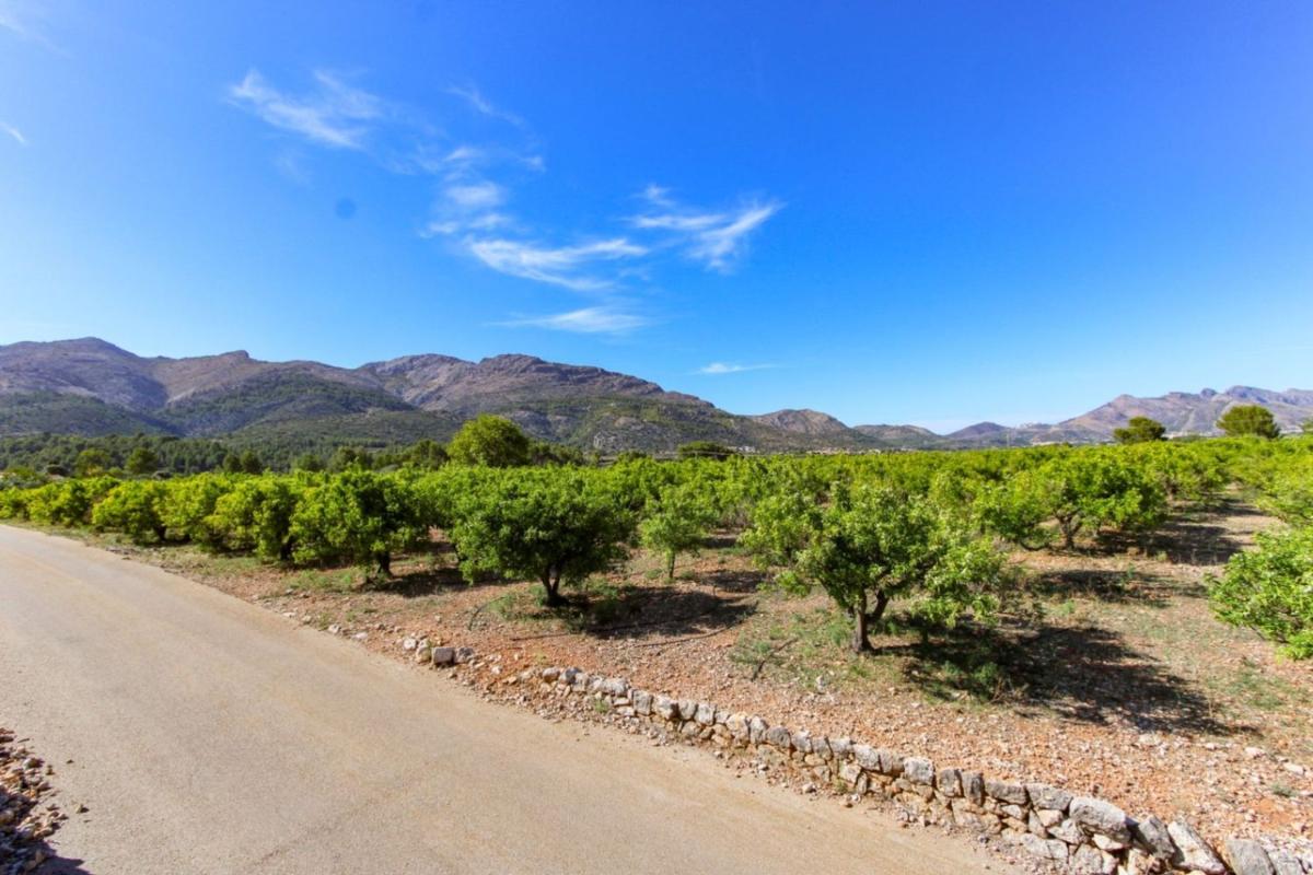 Terreno en venta en Orba, Alicante photo 4