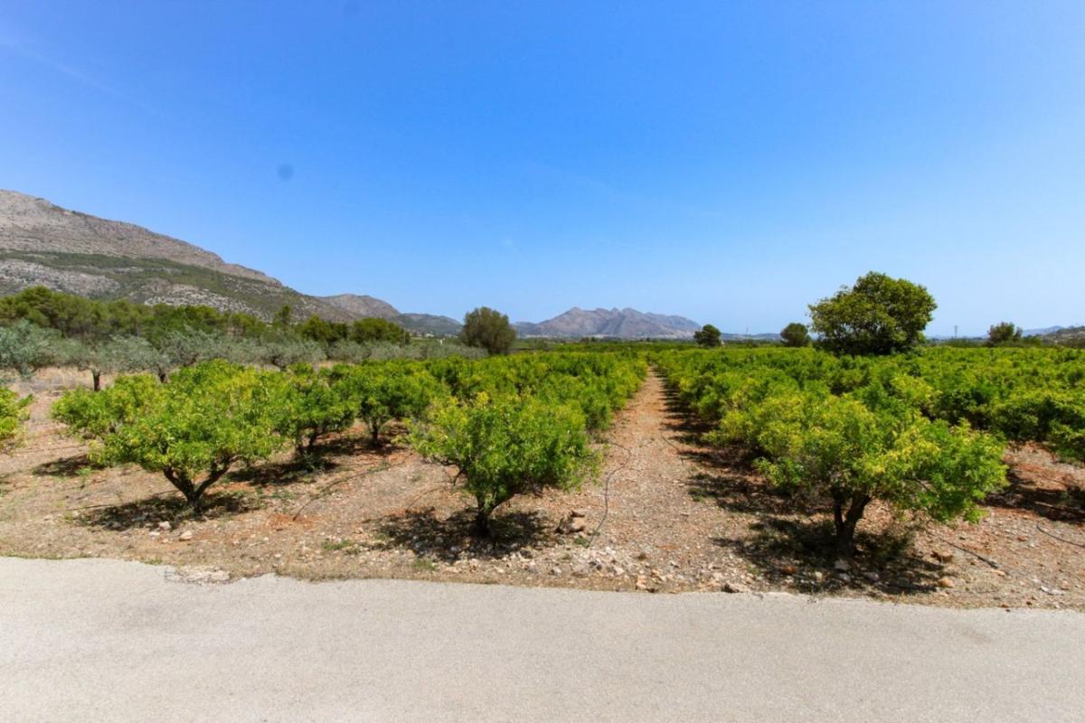 Terreno en venta en Orba, Alicante photo 5