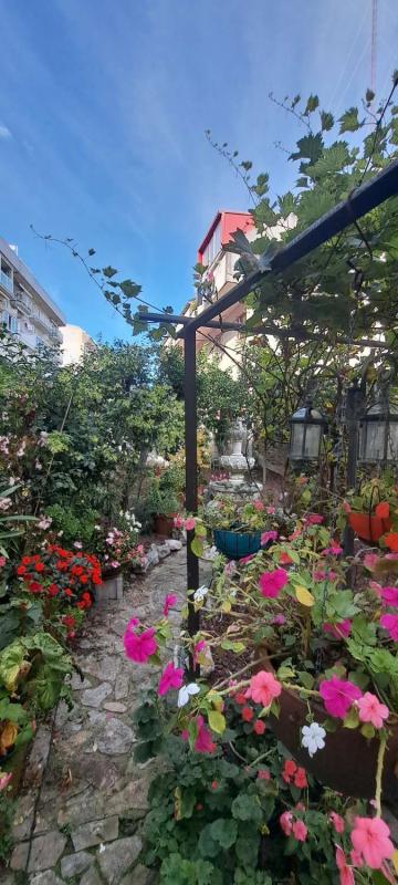 Properties for sale and rent in Spain photo 4