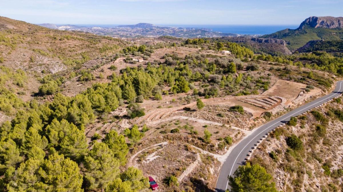 Land for sale in Jalón, Alicante photo 2