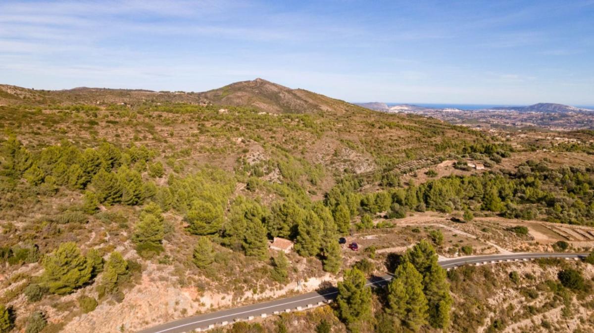 Land for sale in Jalón, Alicante photo 4